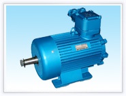 起重用隔爆型三相異步電動機